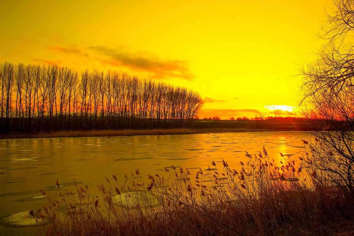 Coucher de soleil doré sur une rivière entourée d'arbres nus et de roseaux
